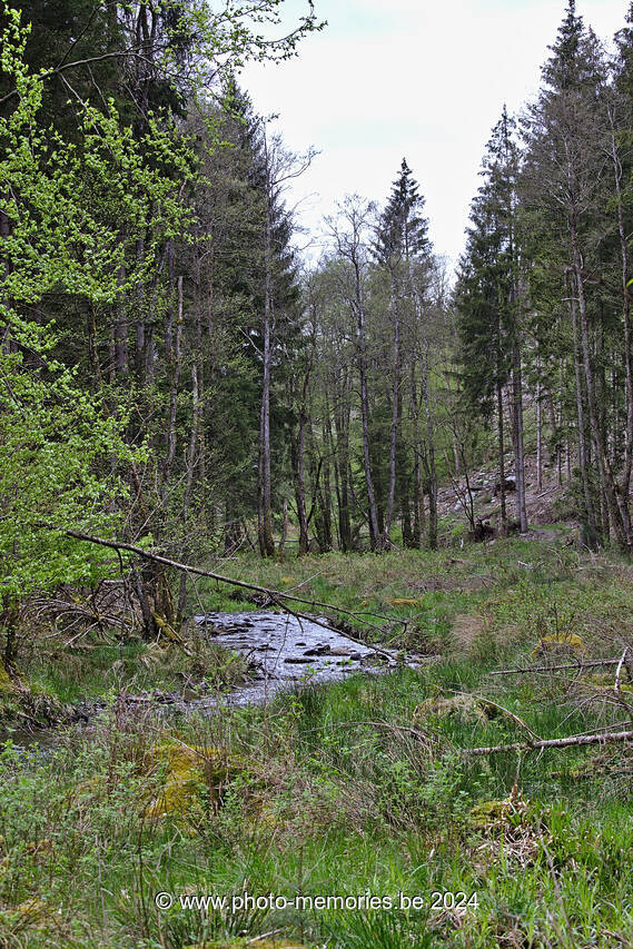 2021-05-24-0086.jpg