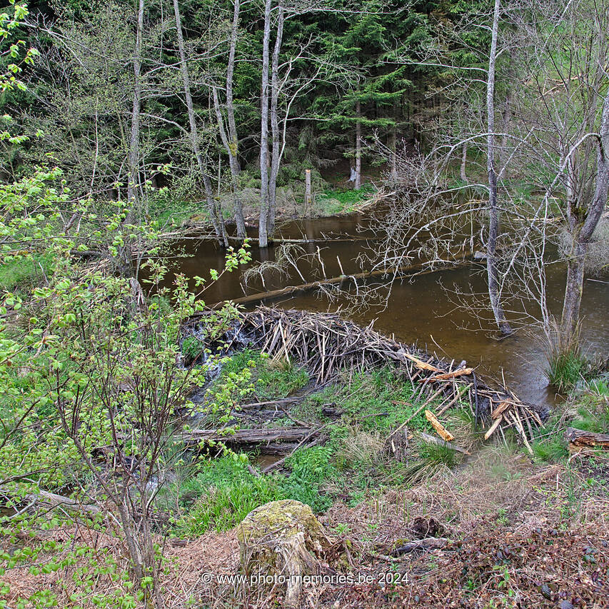 2021-05-24-0089.jpg
