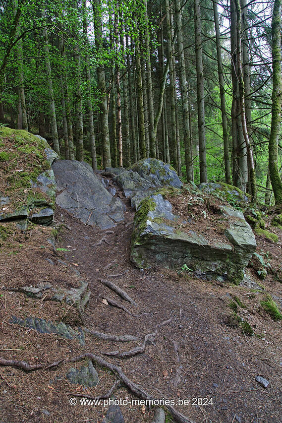 2021-05-24-0097.jpg