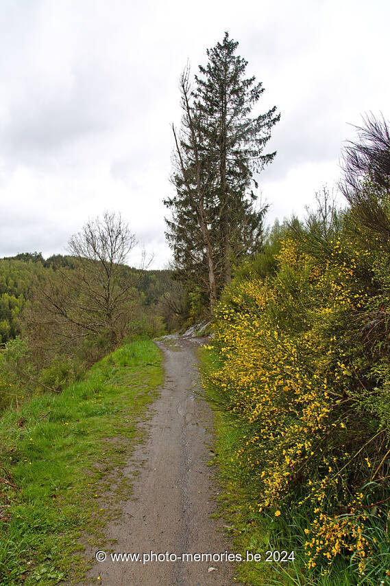 2021-05-24-0104.jpg