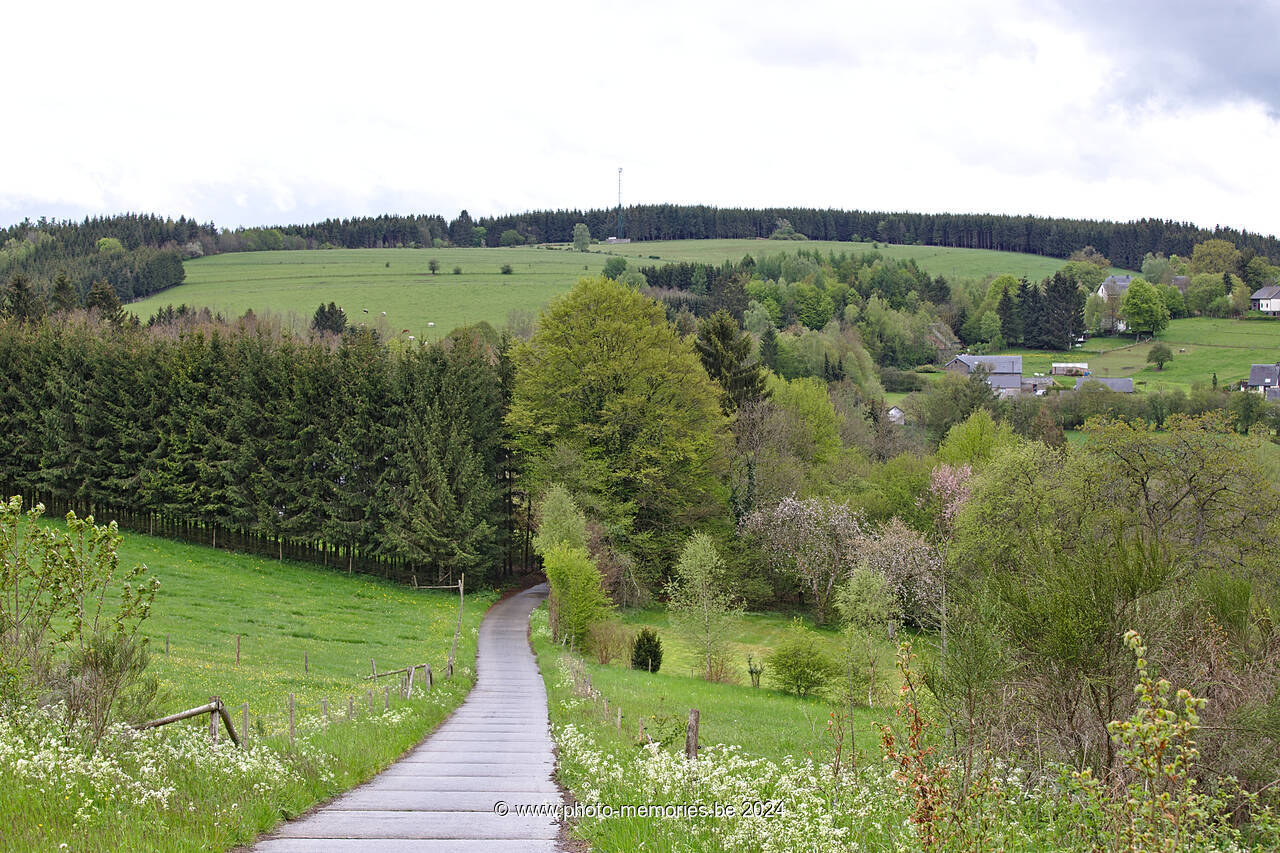 2021-05-24-0105.jpg