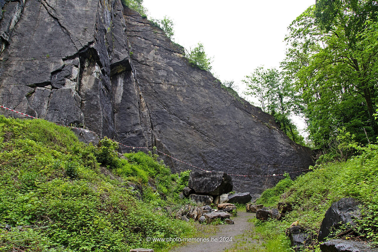 2021-05-25-0110.jpg