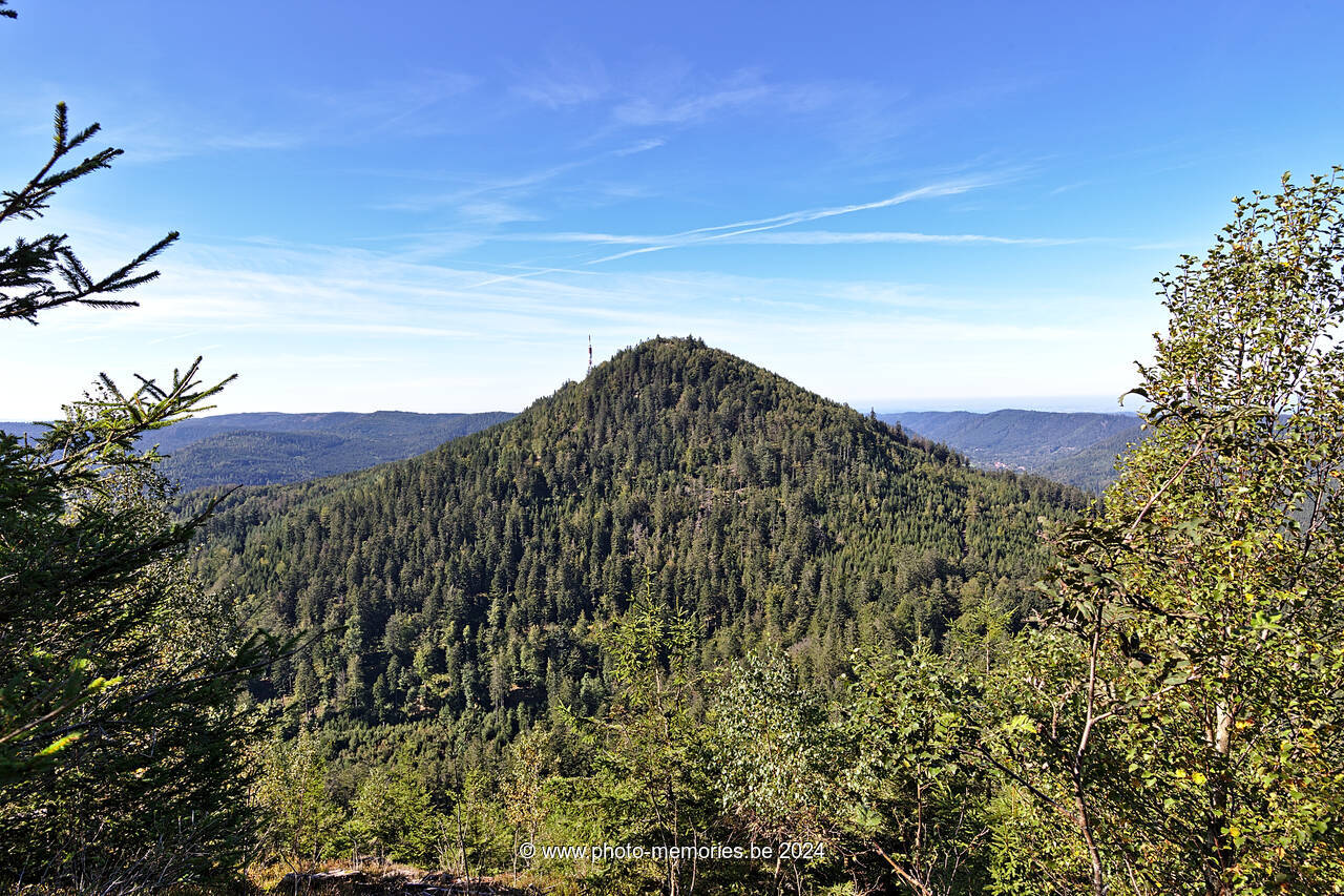 2021-09-23-0006.jpg