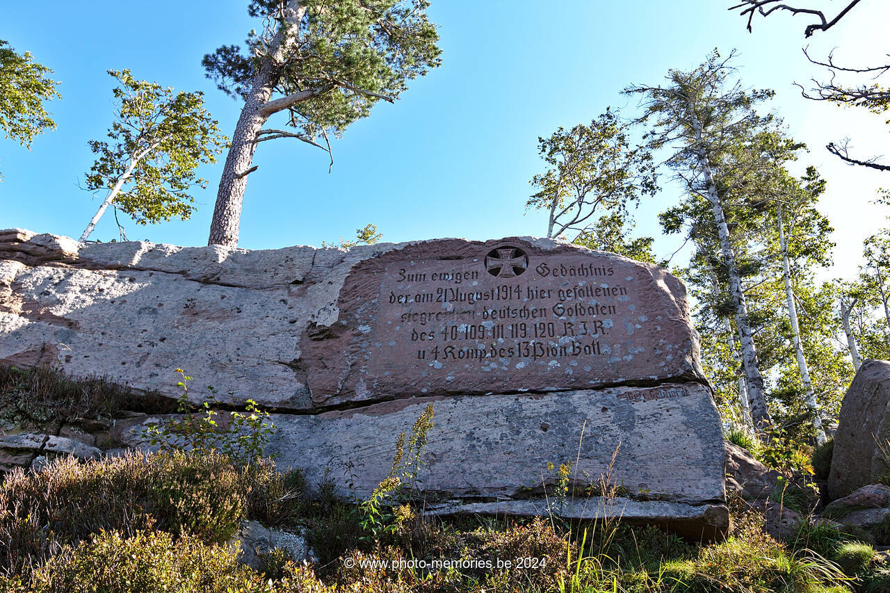 2021-09-23-0007.jpg
