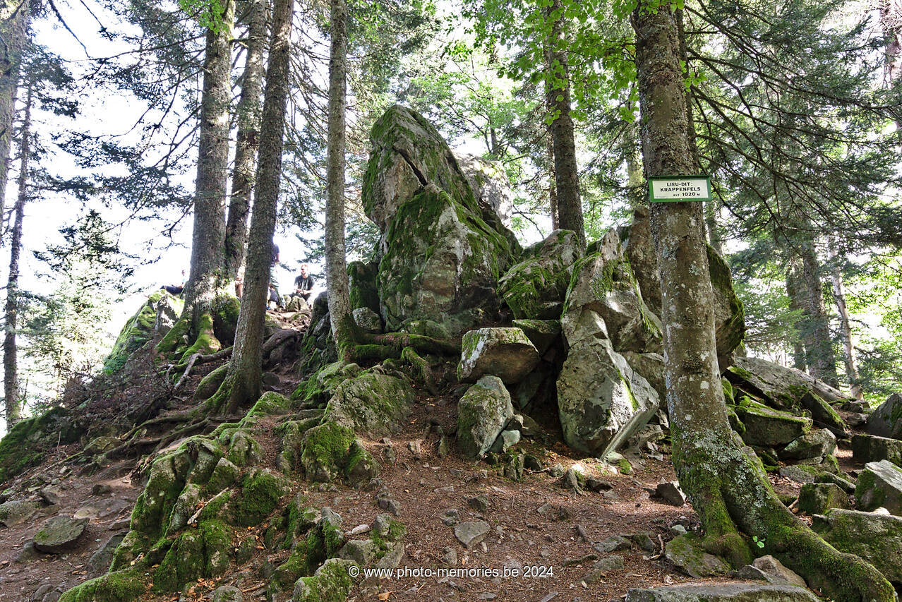 2021-09-25-0036.jpg