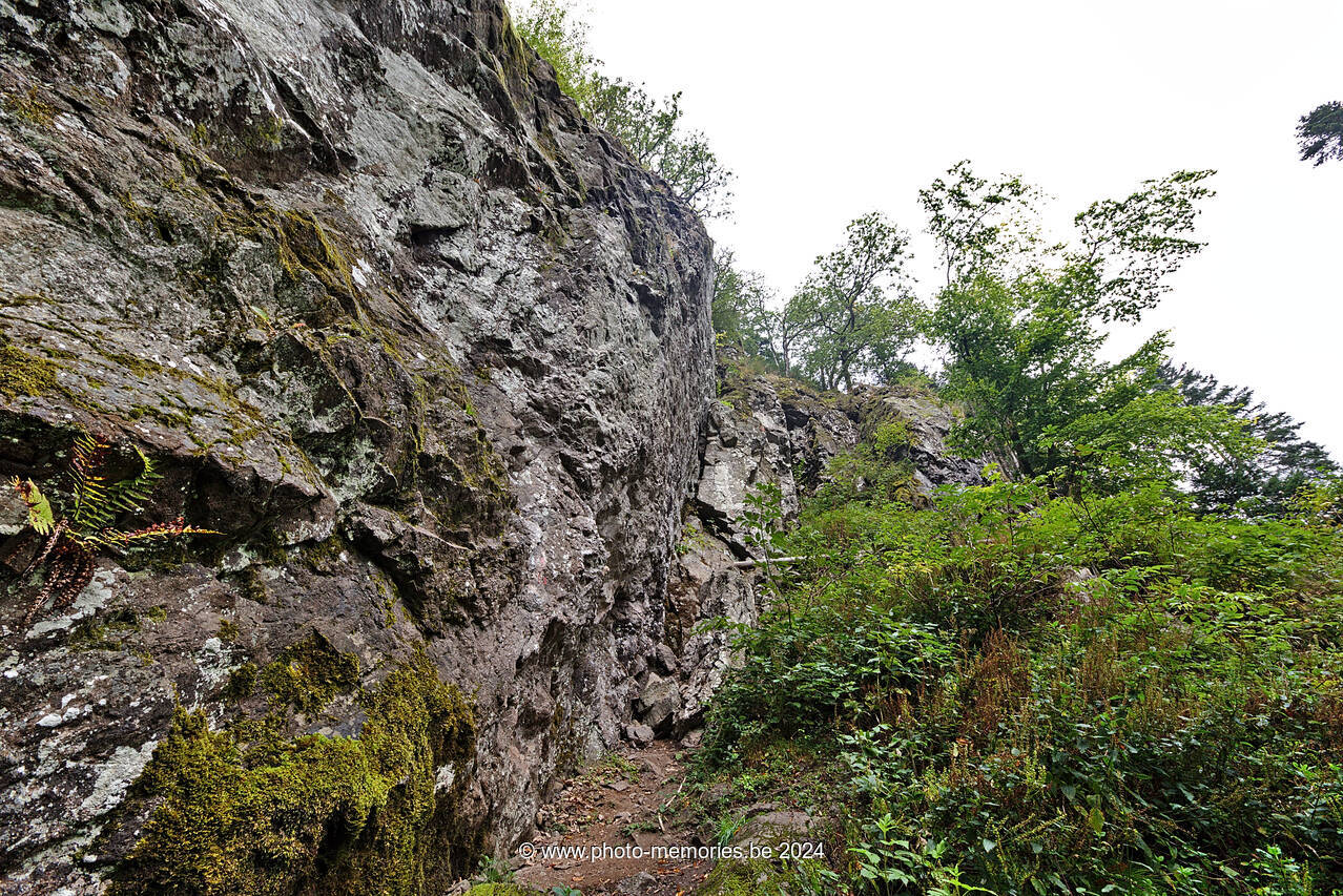 2021-09-26-0052.jpg