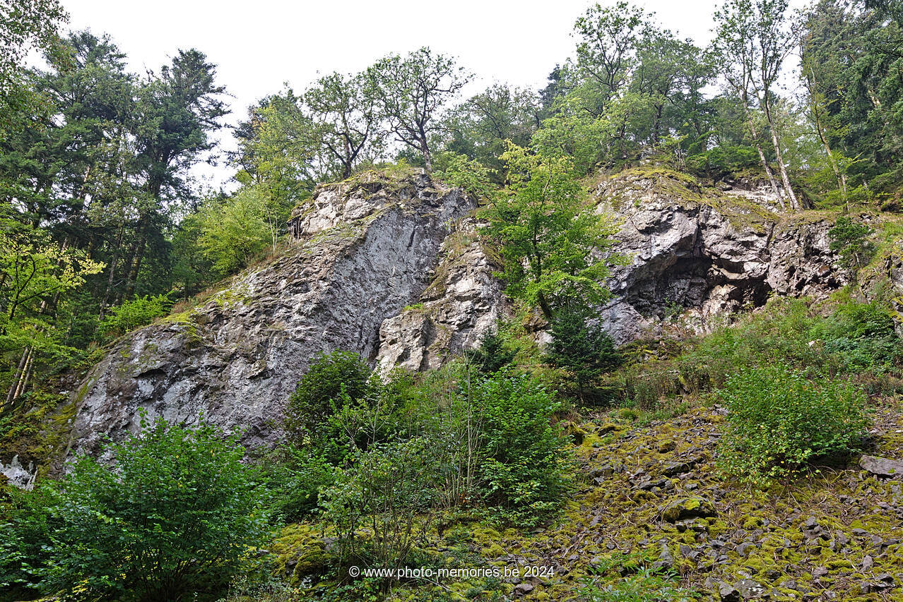 2021-09-26-0053.jpg