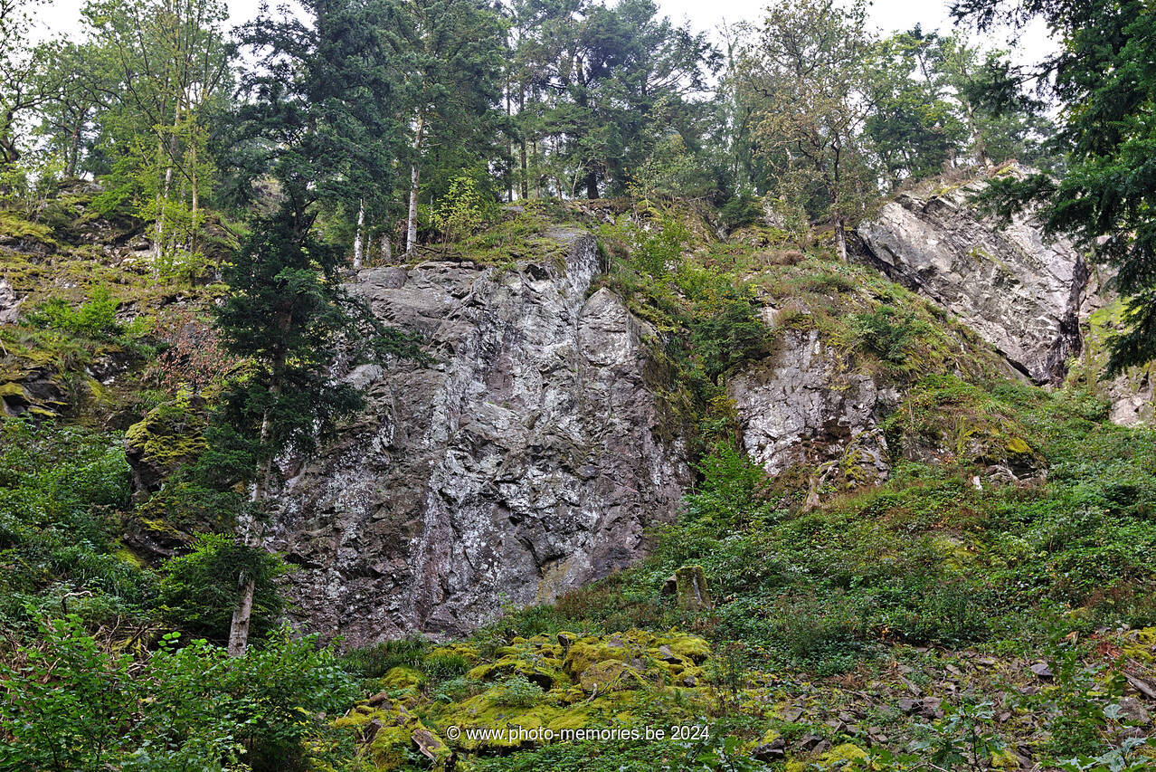2021-09-26-0054.jpg