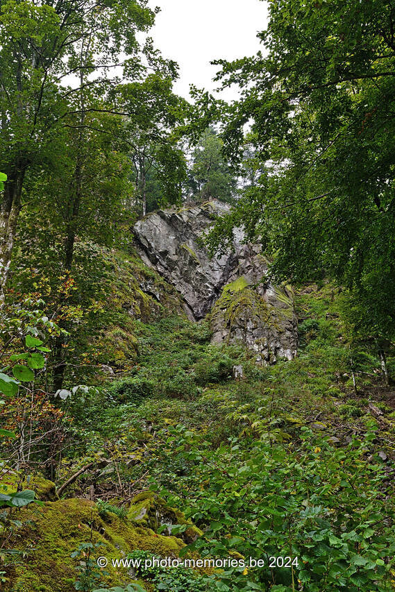 2021-09-26-0056.jpg
