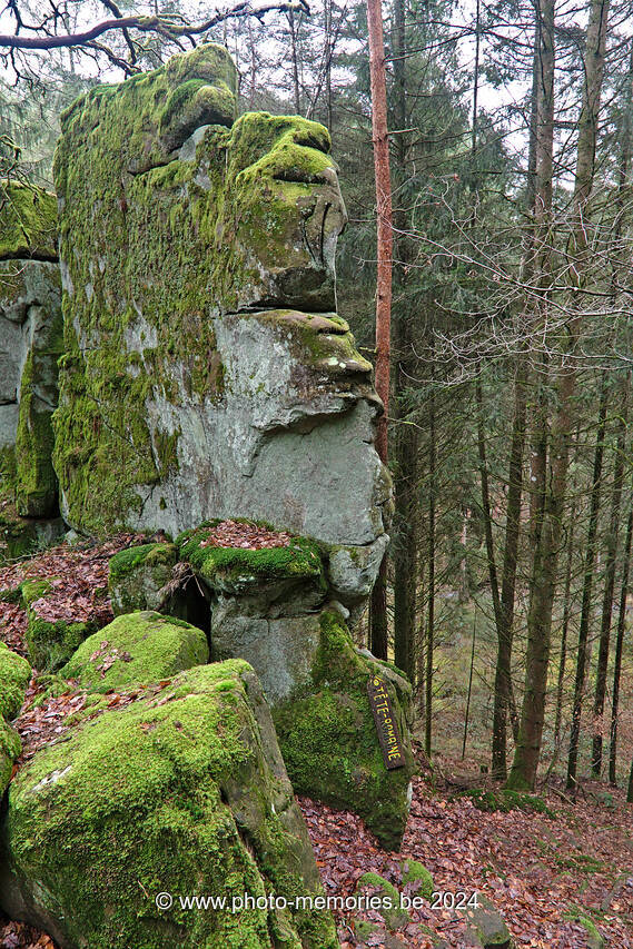 2022-02-22-0045.jpg