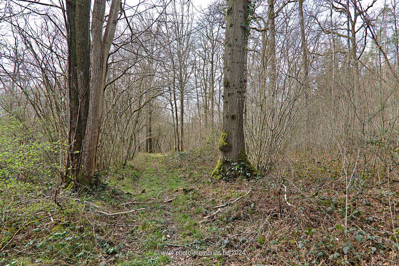 2022-03-20-0021.jpg