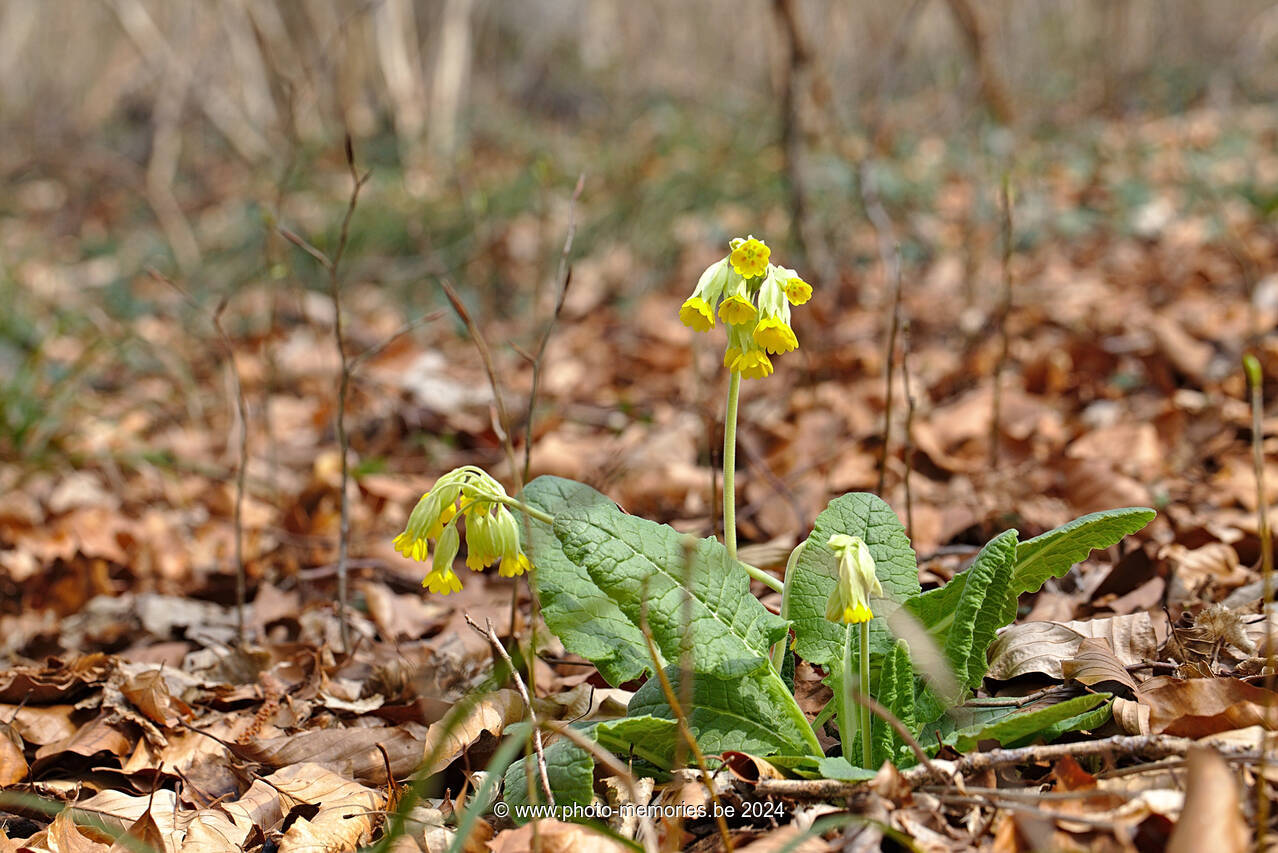 2022-03-20-0022.jpg