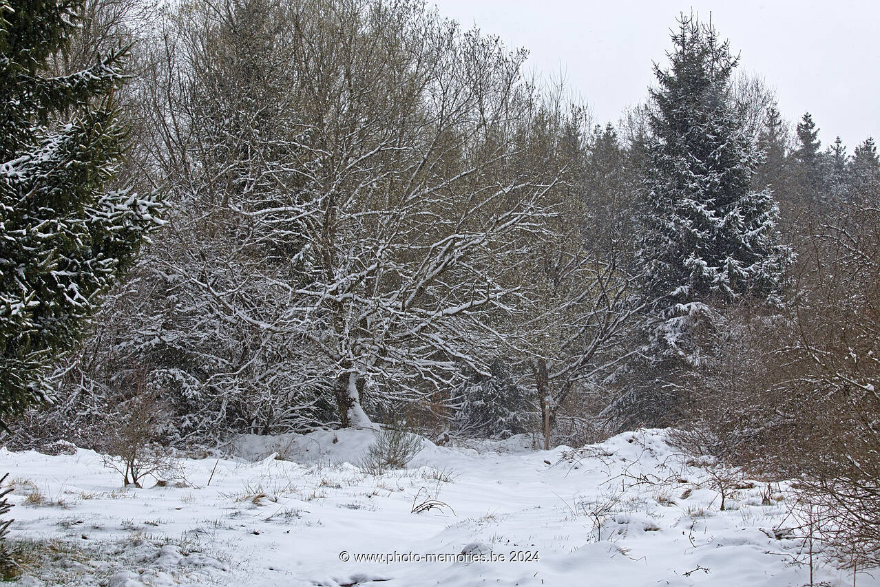 2022-04-02-0010.jpg