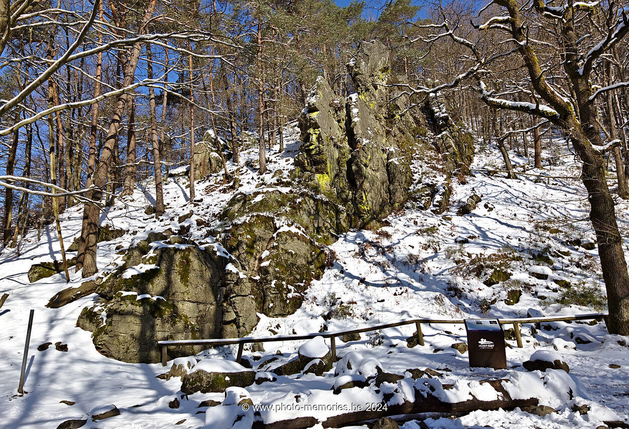 2022-04-03-0047.jpg