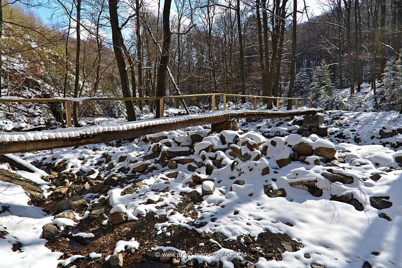 2022-04-03-0048.jpg