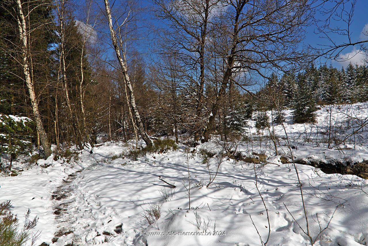 2022-04-03-0052.jpg