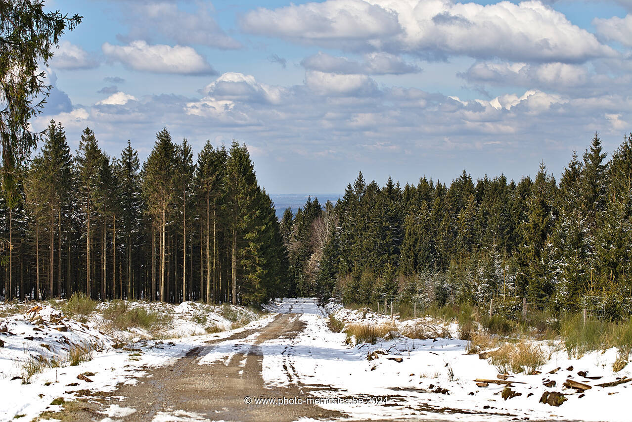 2022-04-03-0065.jpg