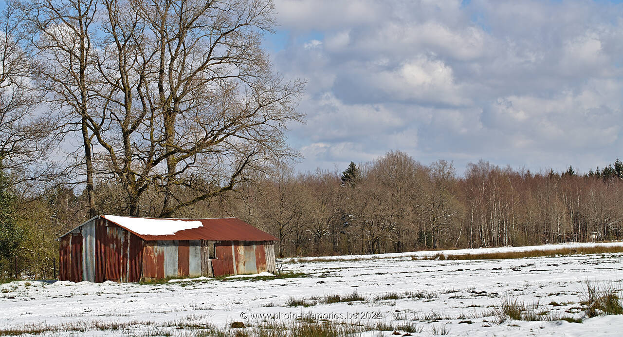 2022-04-03-0067.jpg
