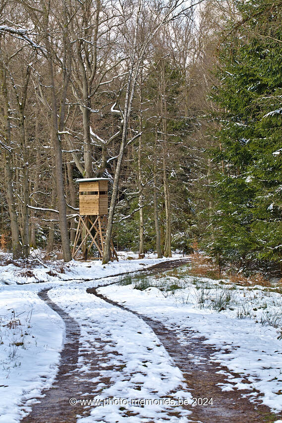 2022-04-03-0069.jpg