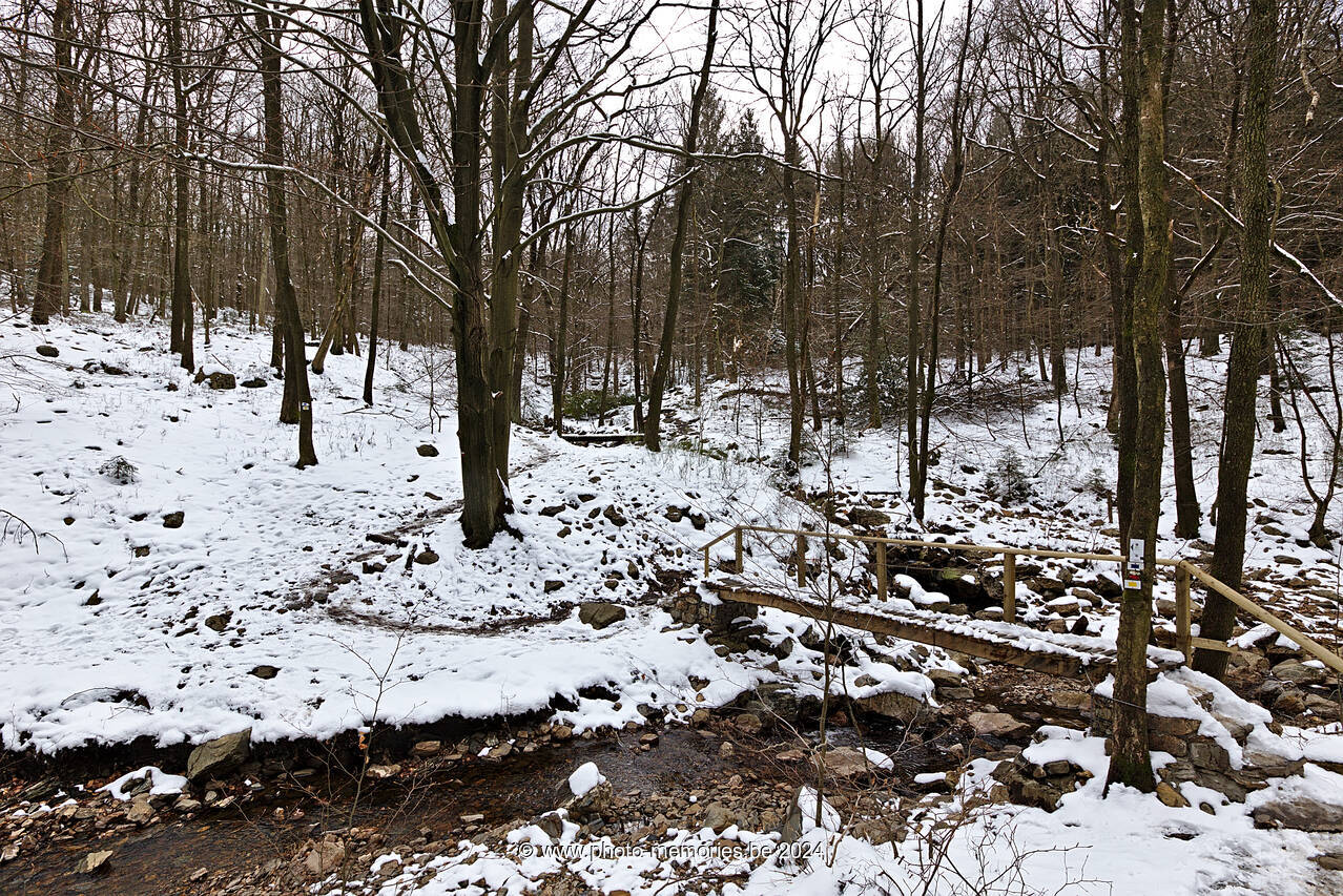 2022-04-03-0074.jpg