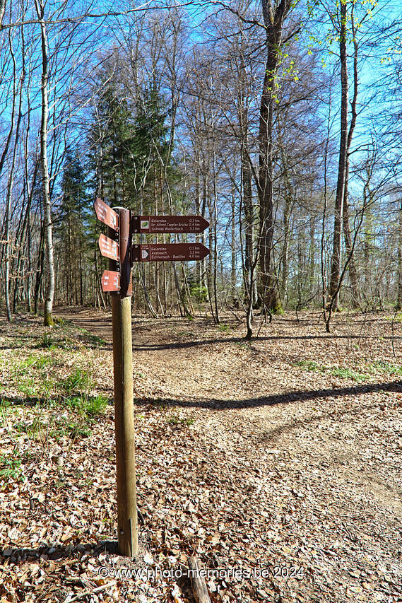2022-04-17-0008.jpg