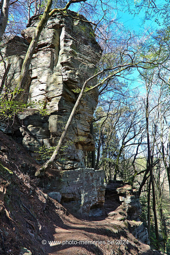 2022-04-17-0018.jpg