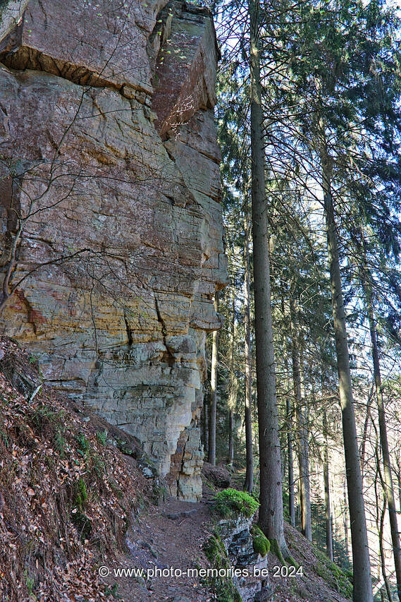 2022-04-17-0019.jpg