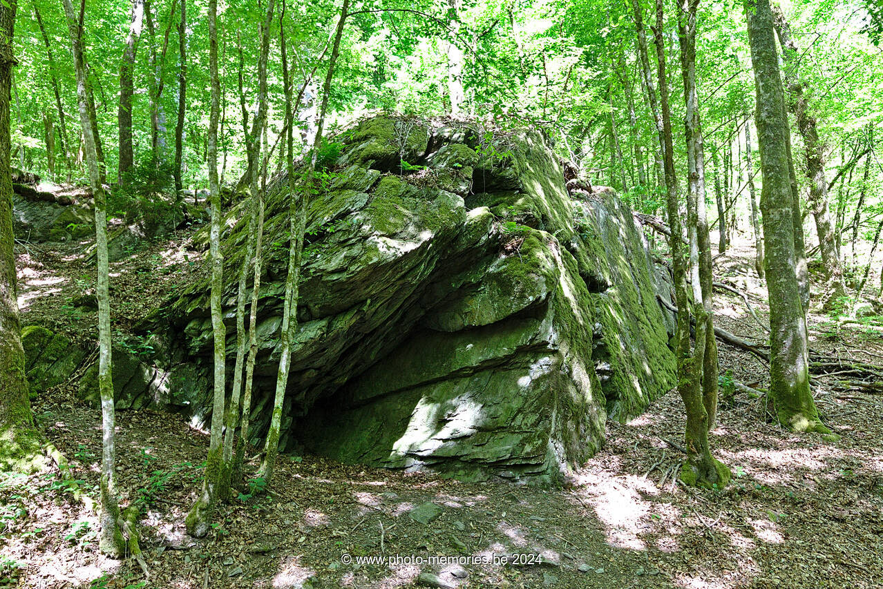 2022-05-14-0011.jpg