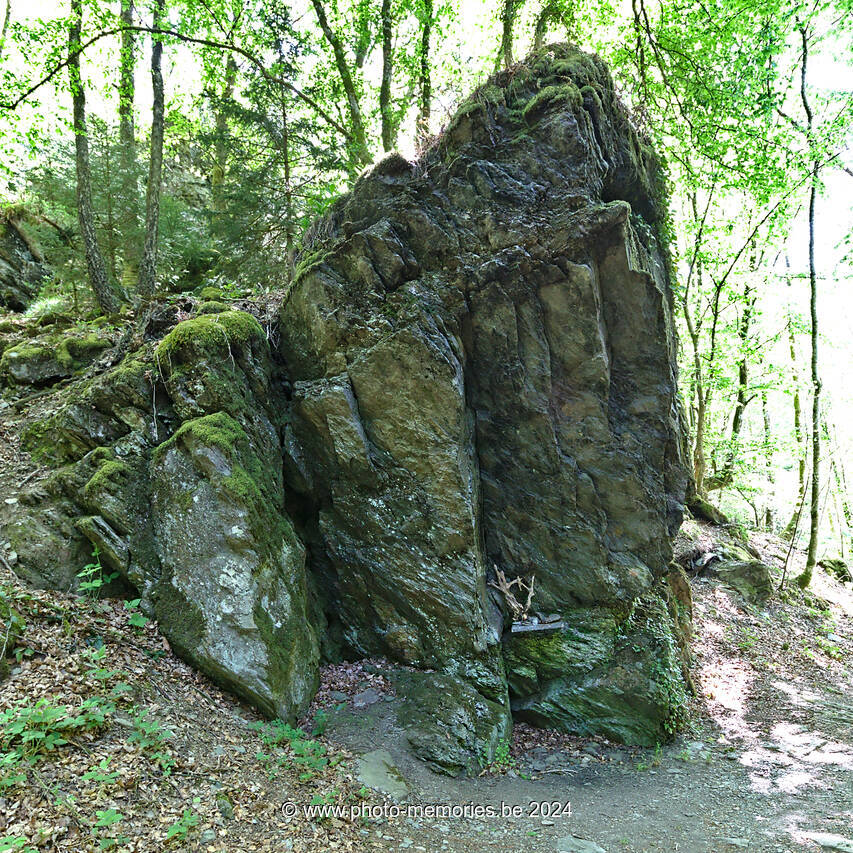 2022-05-14-0019.jpg
