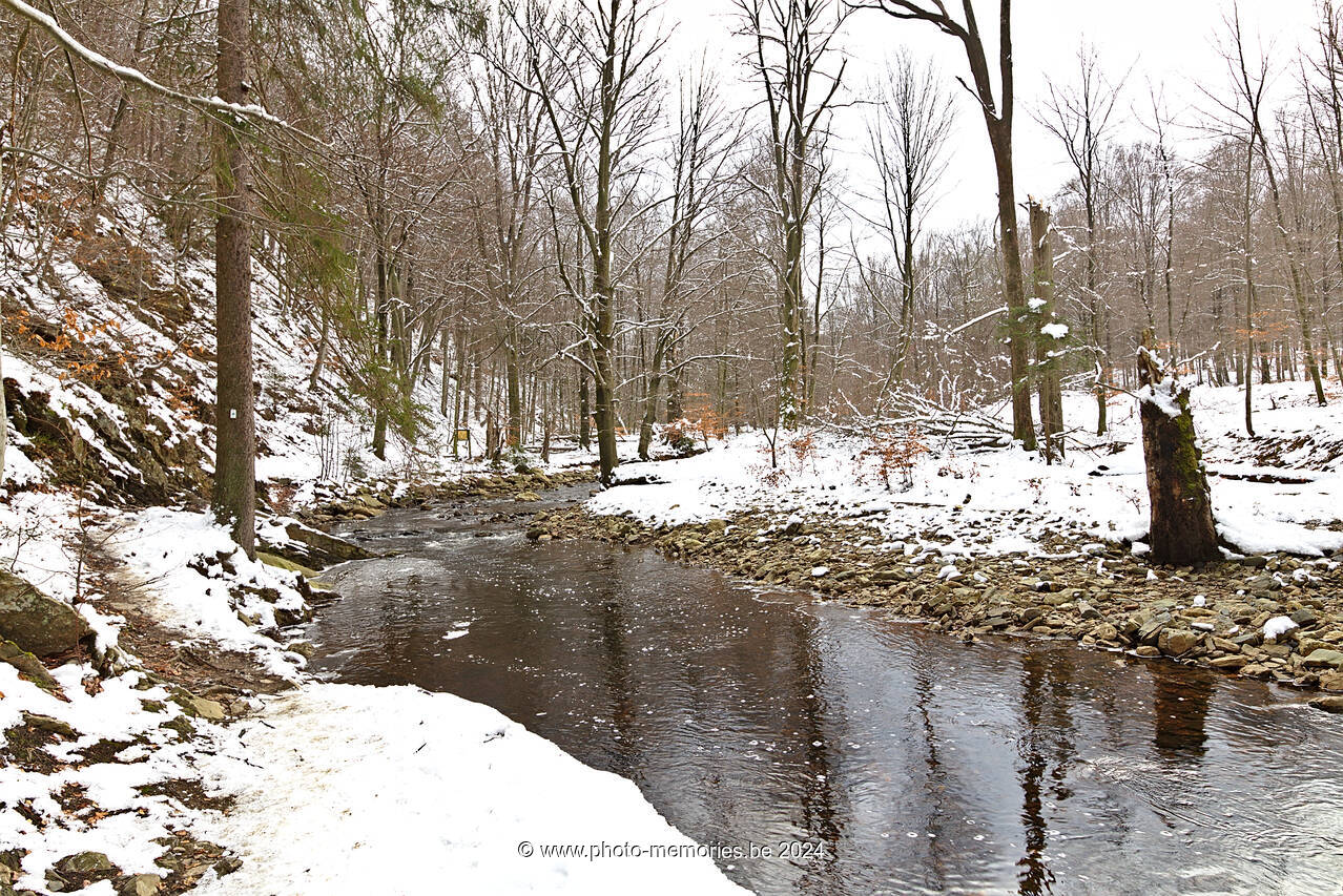 2023-01-29-0019.jpg