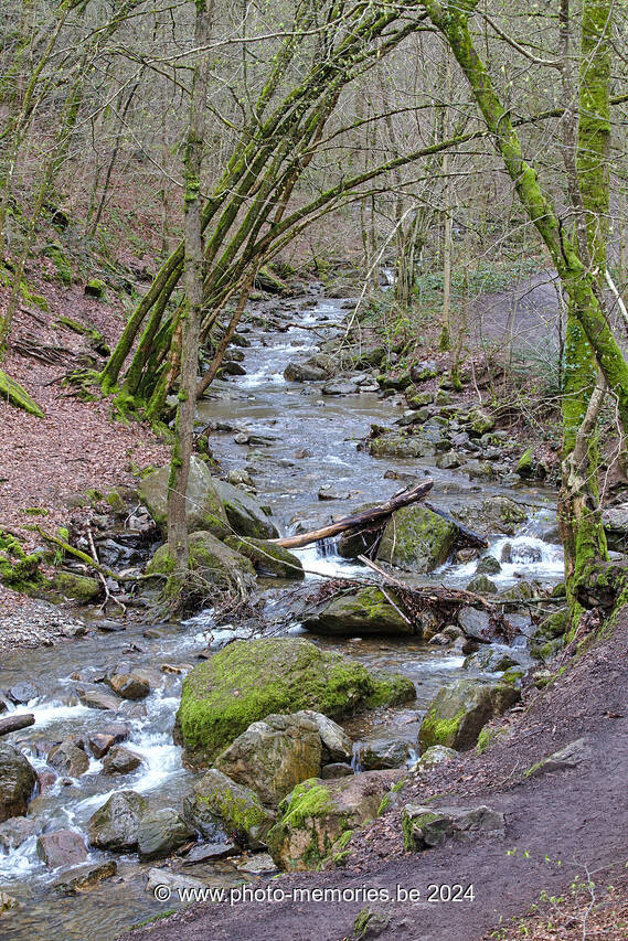 2023-04-07-0005.jpg