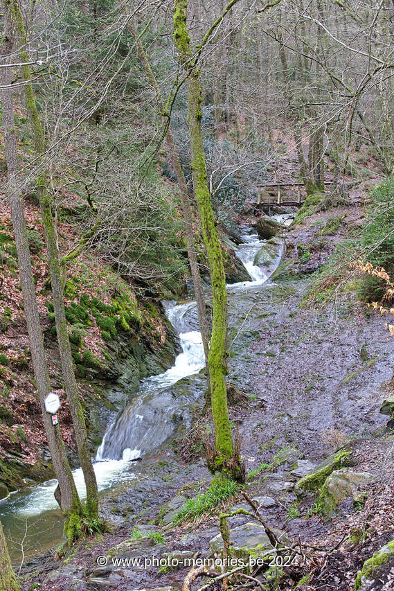 2023-04-07-0007.jpg