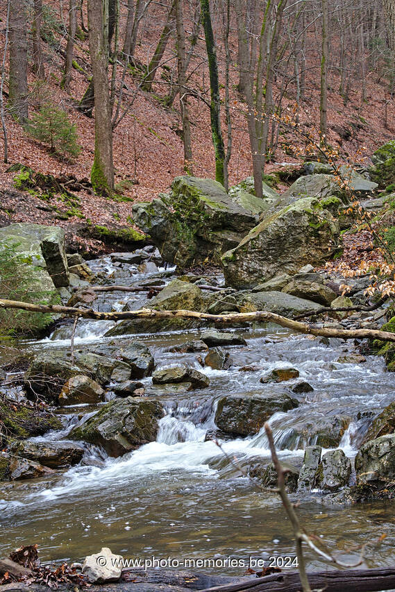2023-04-07-0008.jpg