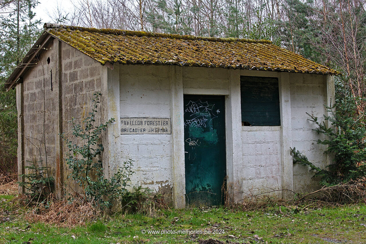 2023-04-08-0020.jpg