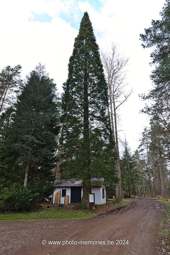 2023-04-08-0022.jpg