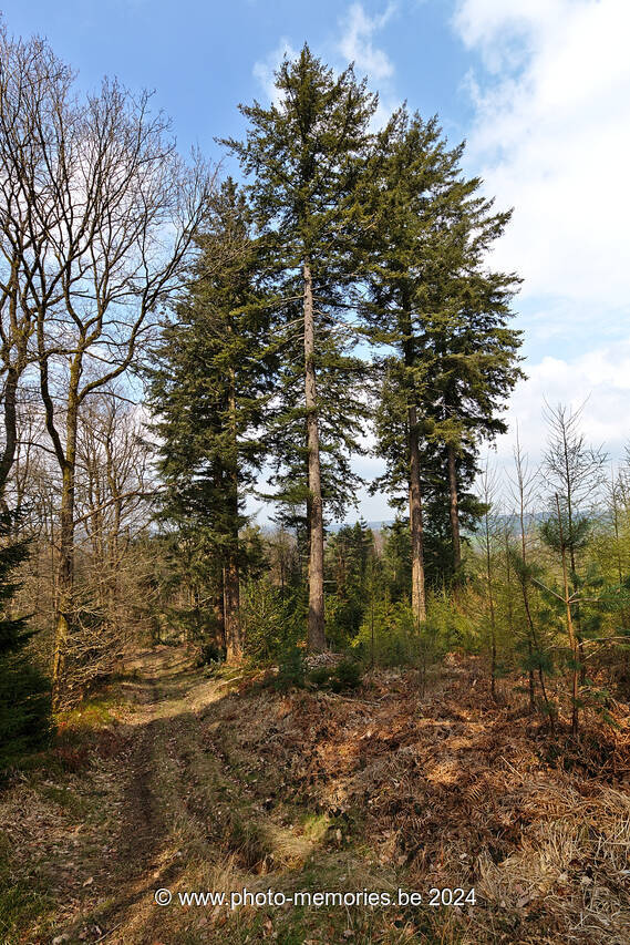 2023-04-08-0023.jpg