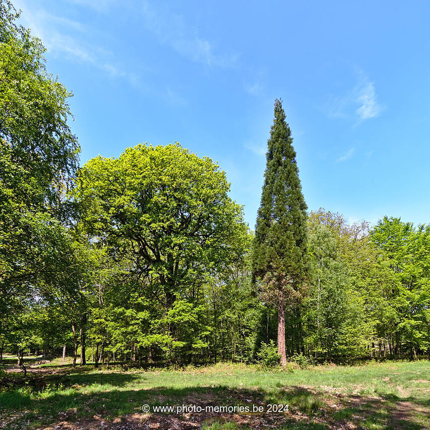 2023-05-20-0027.jpg