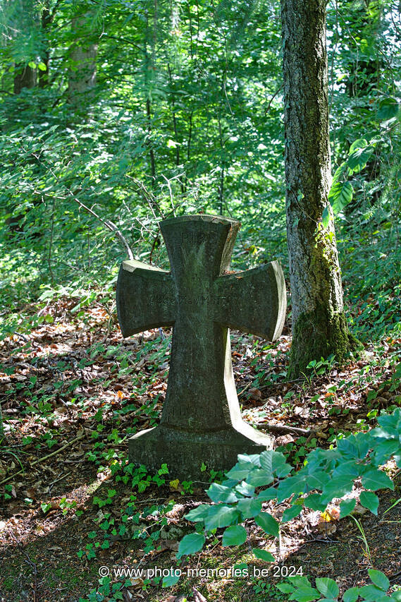 2023-06-03-0005.jpg