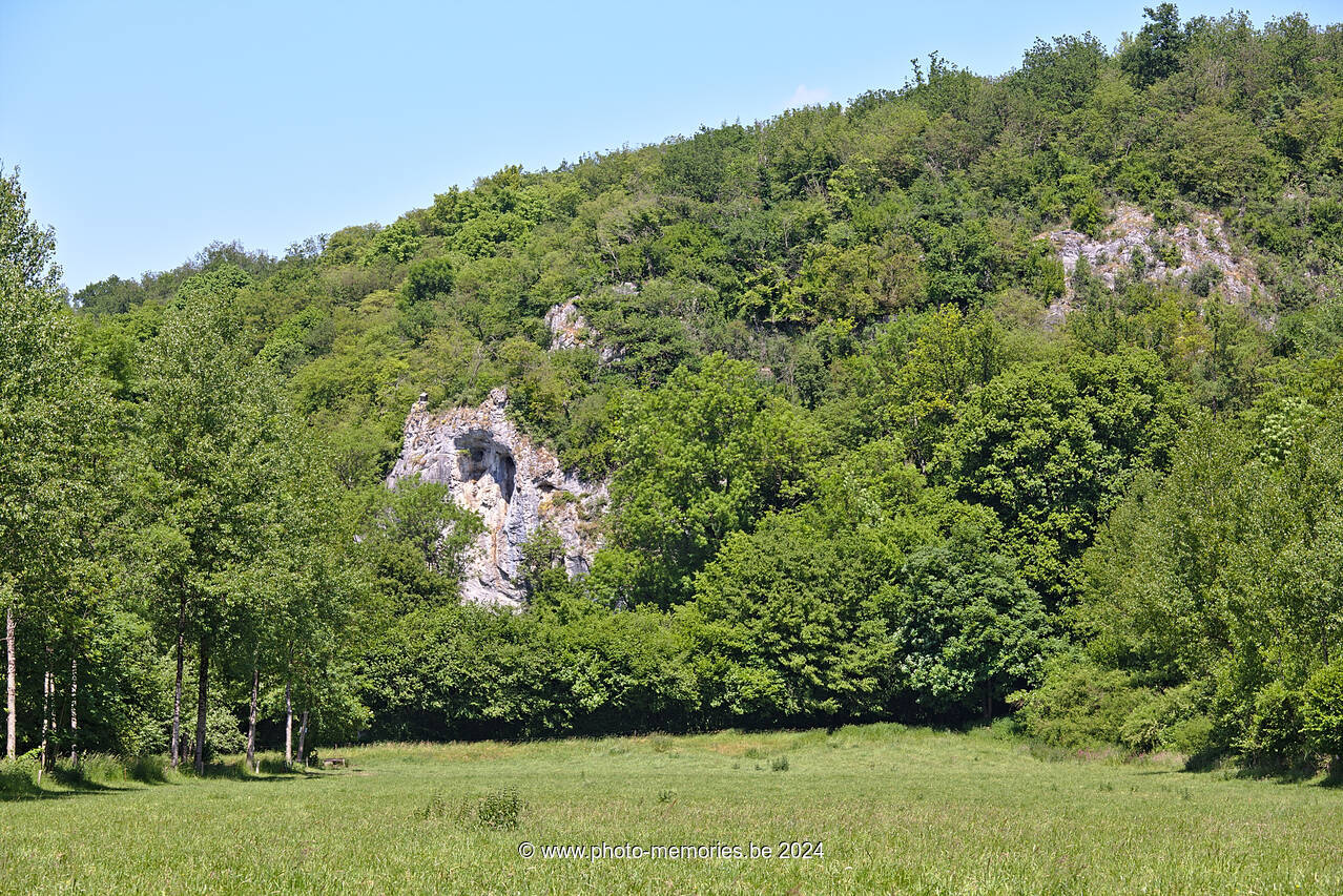 2023-06-03-0017.jpg