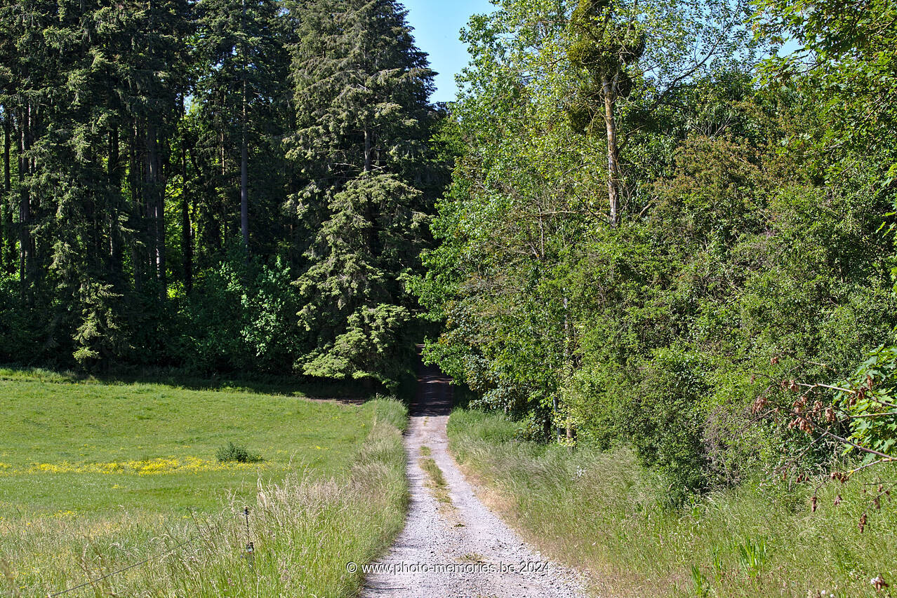 2023-06-04-0029.jpg