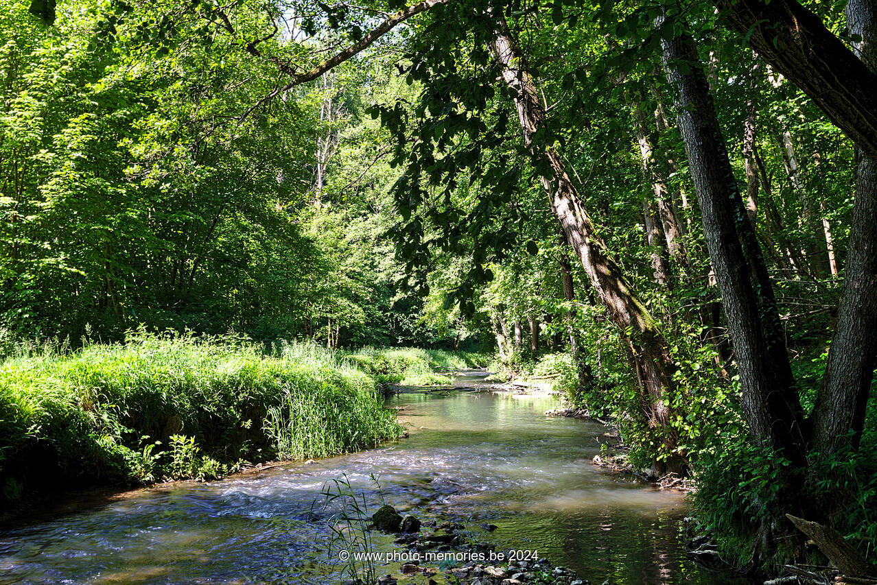 2023-06-04-0031.jpg
