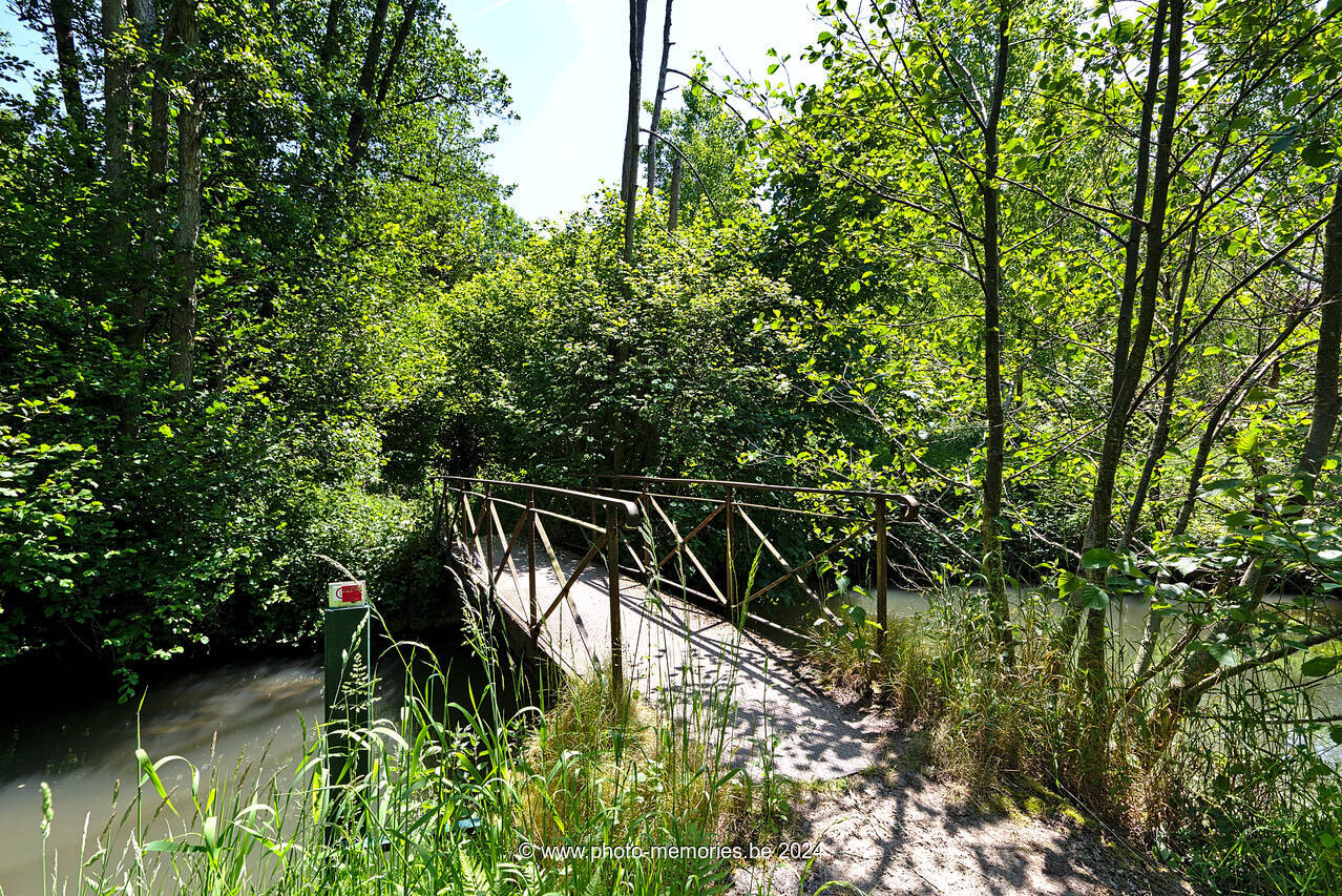 2023-06-04-0039.jpg
