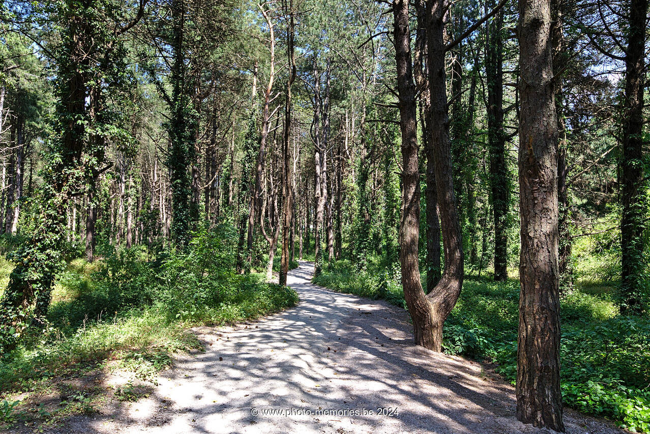 2023-06-09-0001.jpg