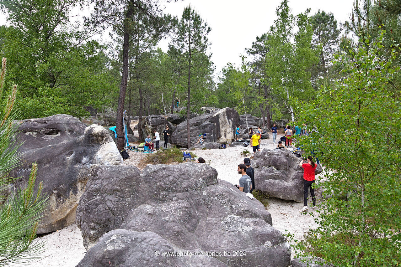 2023-06-11-0013.jpg