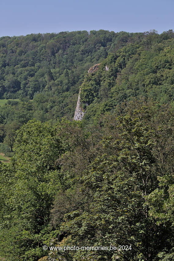 2023-07-08-0008.jpg