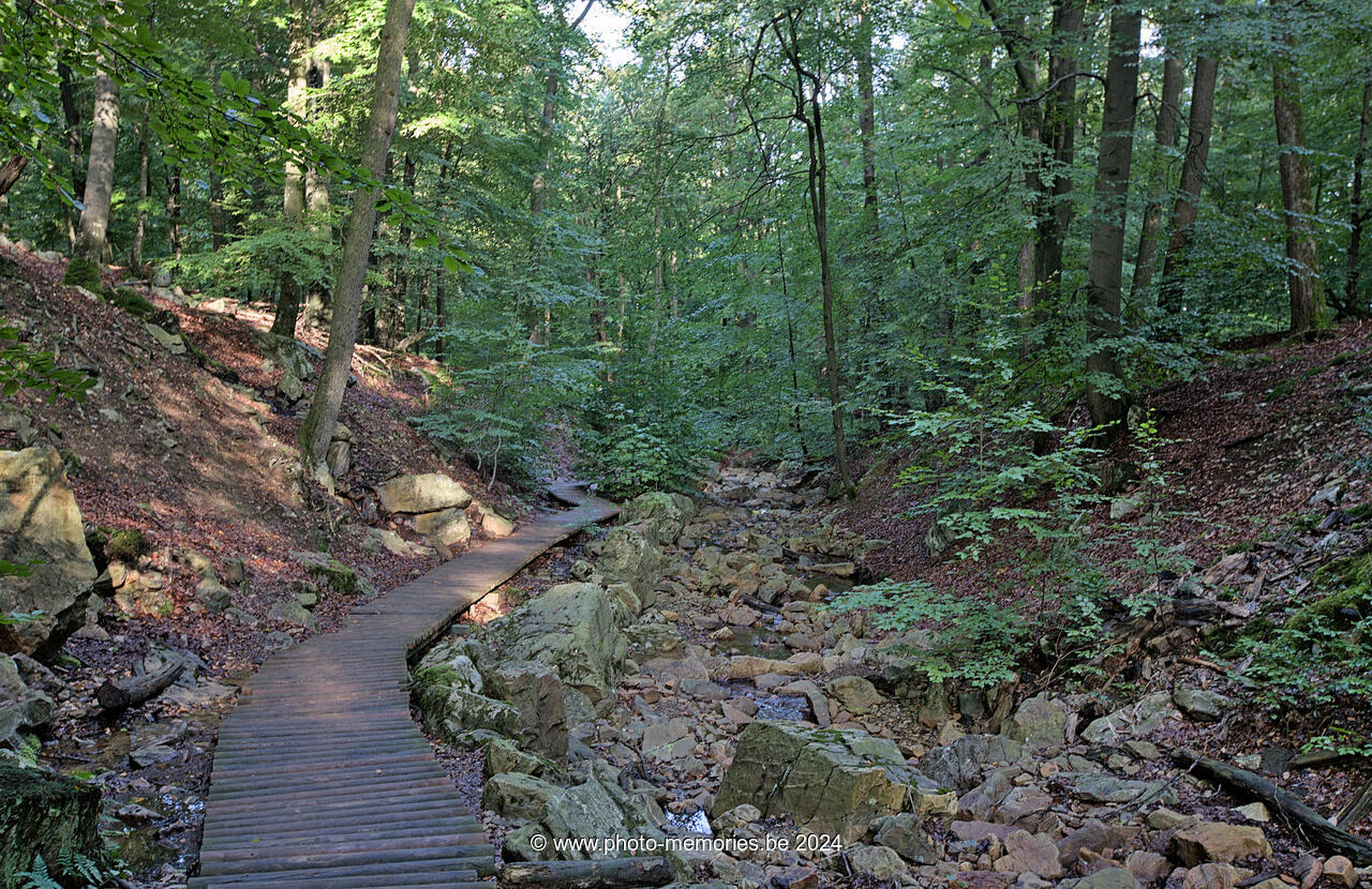 2023-09-30-0005.jpg