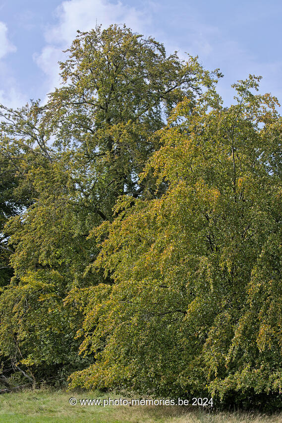 2023-09-30-0018.jpg
