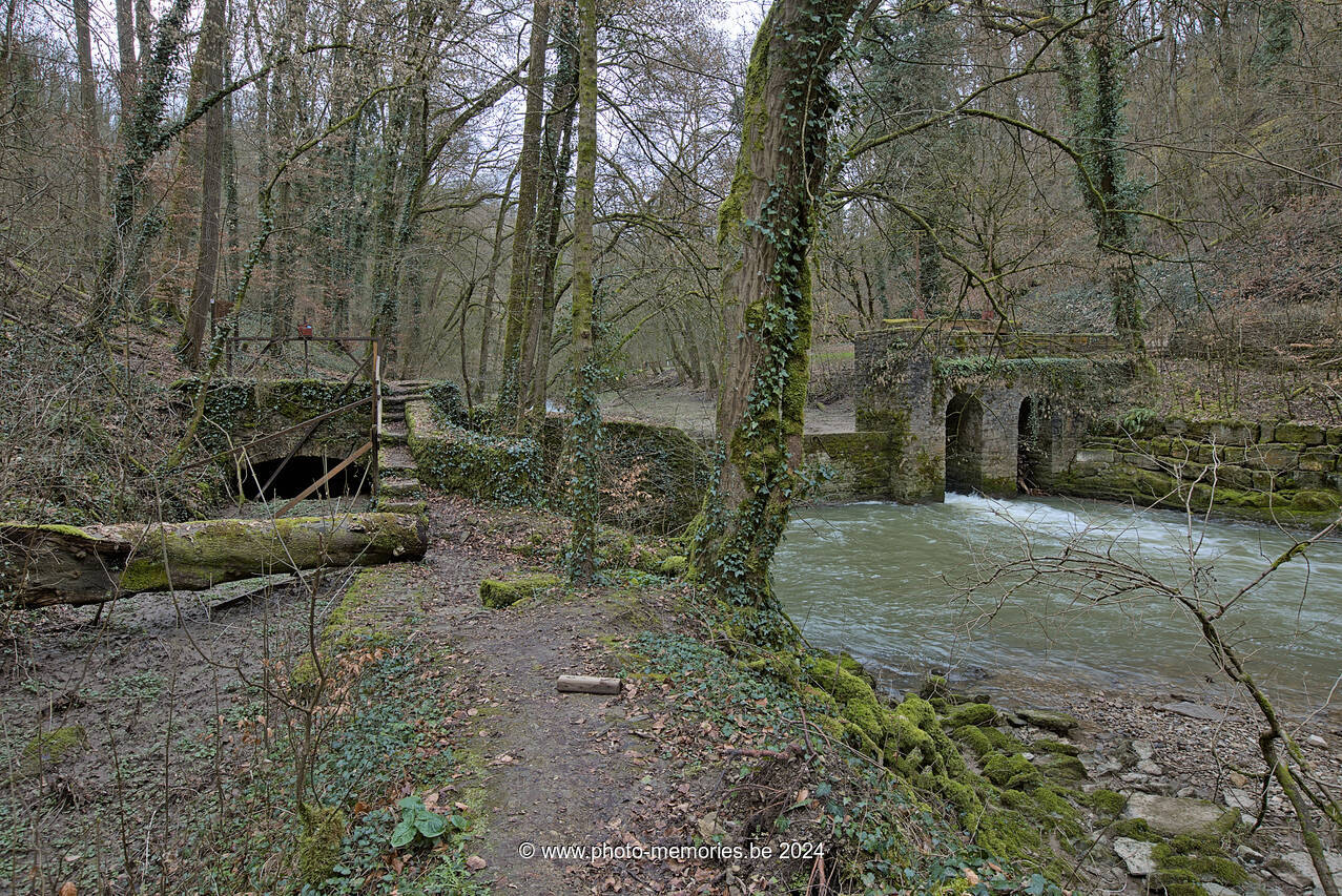 2024-03-01-0007.jpg