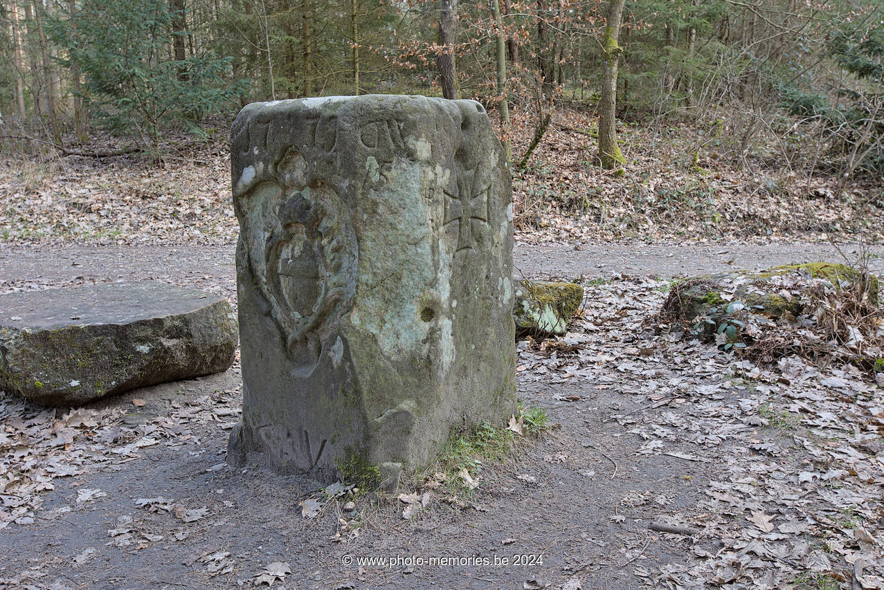 2024-03-02-0041.jpg