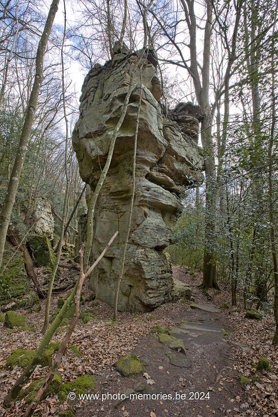 2024-03-02-0043.jpg